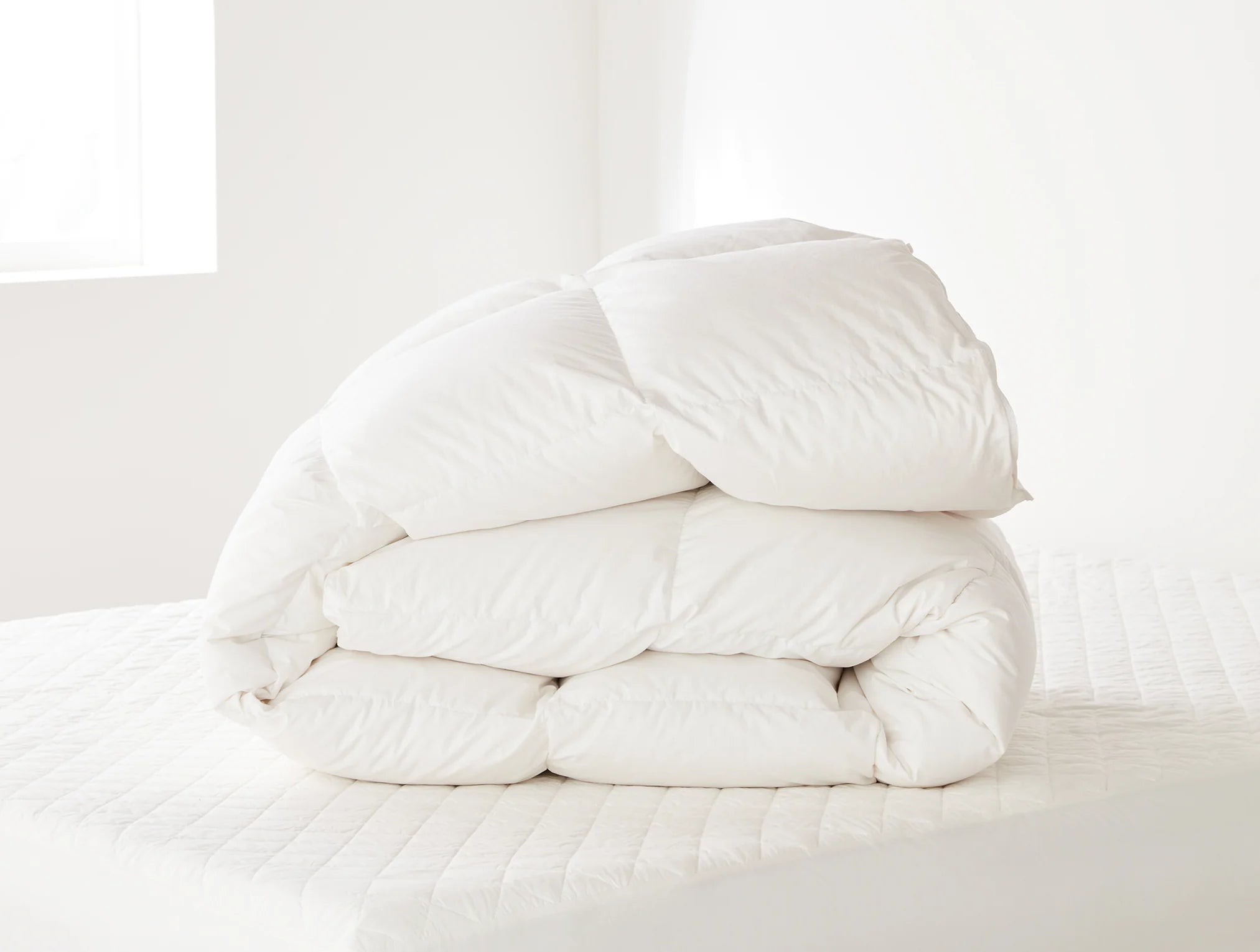 Winter Weight Down Duvet Insert